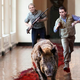 Image for article titled Trump Boys Chasing Wounded Boar Around White House